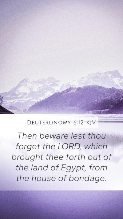 Deuteronomy 6:12 KJV Bible Verse Image