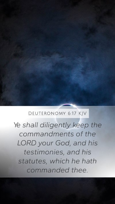 Deuteronomy 6:17 KJV Bible Verse Image