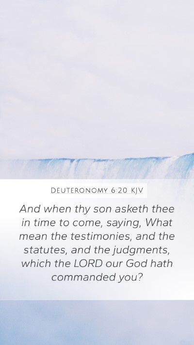 Deuteronomy 6:20 KJV Bible Verse Image