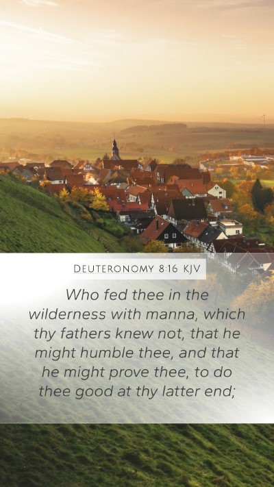 Deuteronomy 8:16 KJV Bible Verse Image