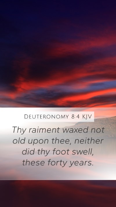 Deuteronomy 8:4 KJV Mobile Phone Wallpaper - Thy raiment waxed not old upon thee, neither did - Mobile Bible Verse Wallpaper