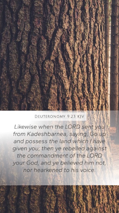 Deuteronomy 9:23 KJV Bible Verse Image