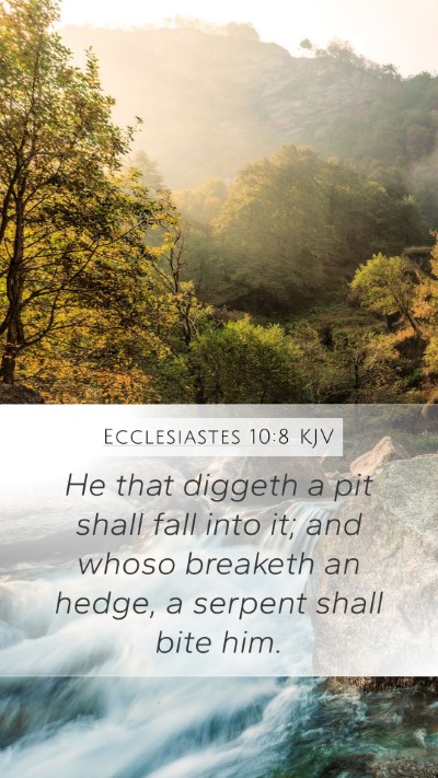 Ecclesiastes 10:8 KJV Bible Verse Image
