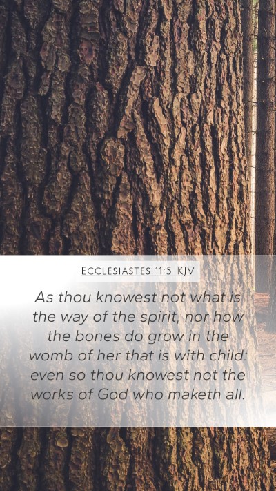 Ecclesiastes 11:5 KJV Bible Verse Image