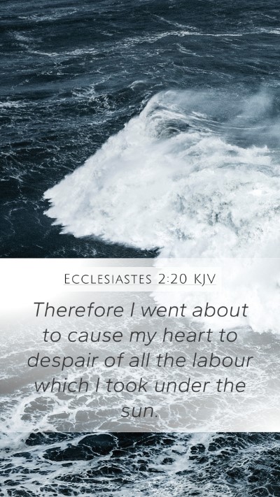 Ecclesiastes 2:20 KJV Bible Verse Image