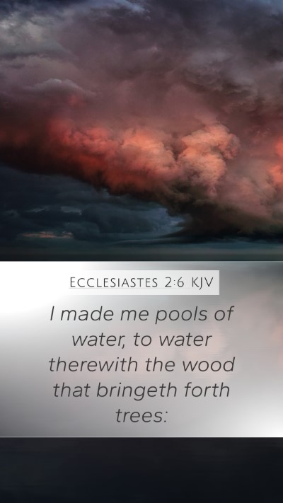 Ecclesiastes 2:6 KJV Mobile Phone Wallpaper - I made me pools of water, to water therewith the - Mobile Bible Verse Wallpaper