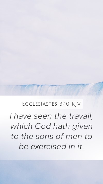 Ecclesiastes 3:10 KJV Bible Verse Image