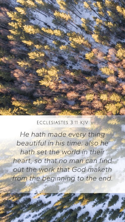 Ecclesiastes 3:11 KJV Bible Verse Image