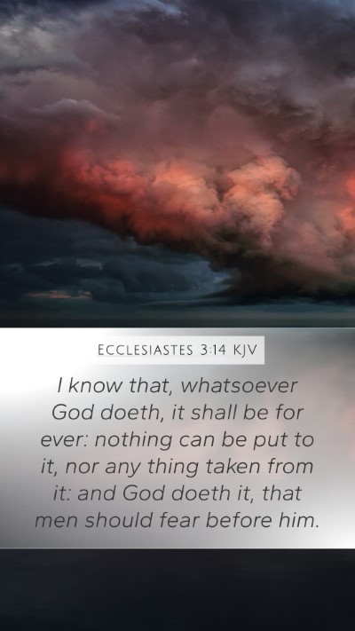 Ecclesiastes 3:14 KJV Bible Verse Image