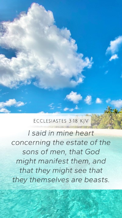 Ecclesiastes 3:18 KJV Bible Verse Image