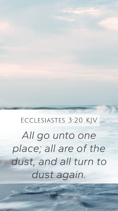 Ecclesiastes 3:20 KJV Bible Verse Image