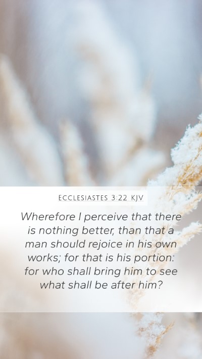 Ecclesiastes 3:22 KJV Bible Verse Image