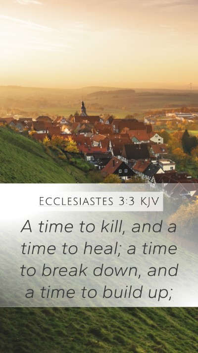 Ecclesiastes 3:3 KJV Mobile Phone Wallpaper - A time to kill, and a time to heal; a time to - Mobile Bible Verse Wallpaper