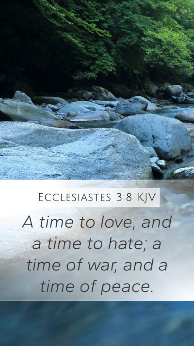 Ecclesiastes 3:8 KJV Mobile Phone Wallpaper - A time to love, and a time to hate; a time of - Mobile Bible Verse Wallpaper