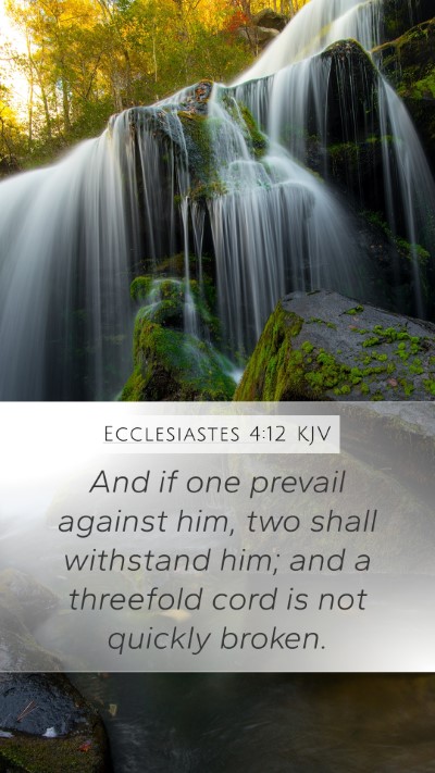 Ecclesiastes 4:12 KJV Mobile Phone Wallpaper - And if one prevail against him, two shall - Mobile Bible Verse Wallpaper