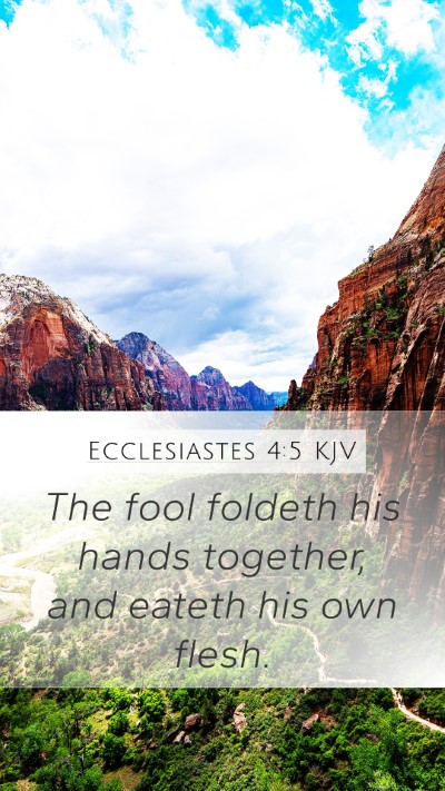 Ecclesiastes 4:5 KJV Bible Verse Image