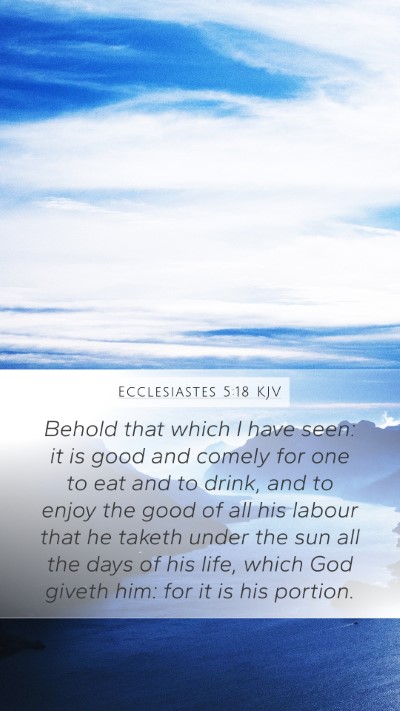 Ecclesiastes 5:18 KJV Bible Verse Image