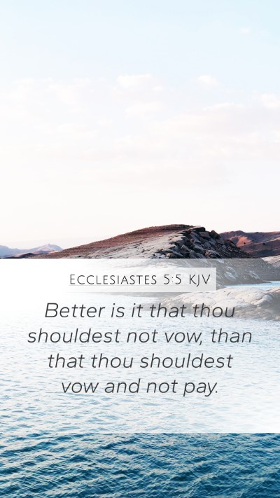 Ecclesiastes 5:5 KJV Mobile Phone Wallpaper - Better is it that thou shouldest not vow, than - Mobile Bible Verse Wallpaper