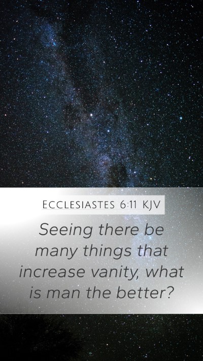 Ecclesiastes 6:11 KJV Bible Verse Image