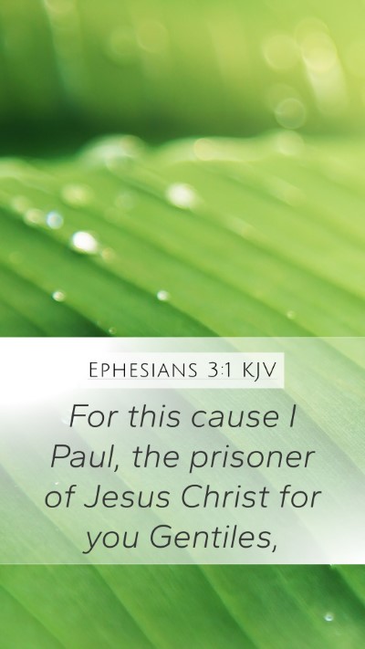 Ephesians 3:1 KJV Bible Verse Image