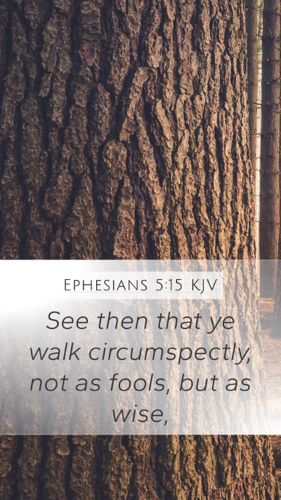 Ephesians 5:15 KJV Bible Verse Image
