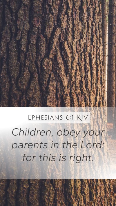 Ephesians 6:1 KJV Mobile Phone Wallpaper - Children, obey your parents in the Lord: for this - Mobile Bible Verse Wallpaper