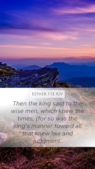 Esther 1:13 KJV Bible Verse Image
