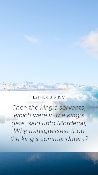 Esther 3:3 KJV Mobile Phone Wallpaper - Then the king's servants, which were in the - Mobile Bible Verse Wallpaper
