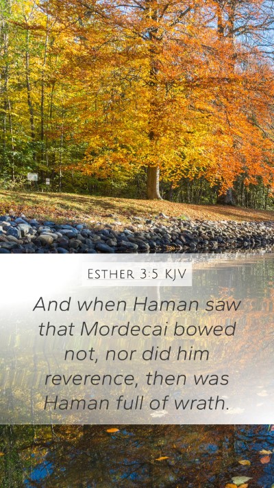 Esther 3:5 KJV Bible Verse Image