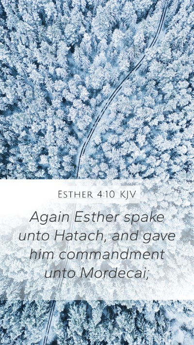 Esther 4:10 KJV Mobile Phone Wallpaper - Again Esther spake unto Hatach, and gave him - Mobile Bible Verse Wallpaper