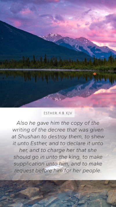Esther 4:8 KJV Bible Verse Image
