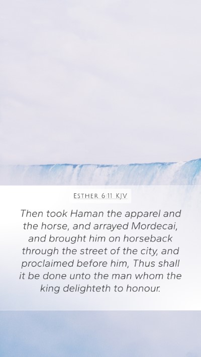 Esther 6:11 KJV Bible Verse Image
