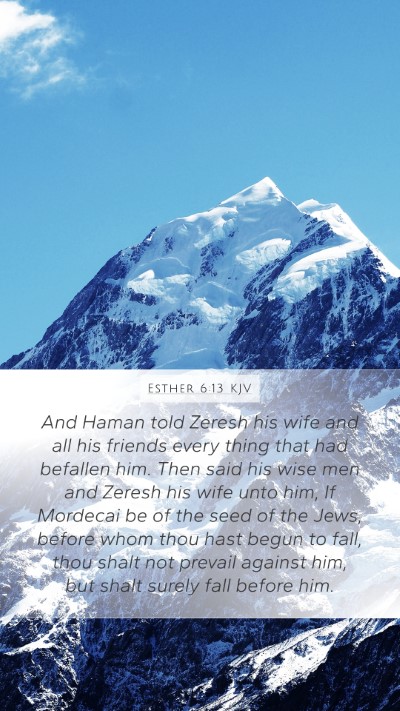 Esther 6:13 KJV Bible Verse Image