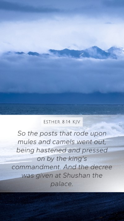 Esther 8:14 KJV Bible Verse Image