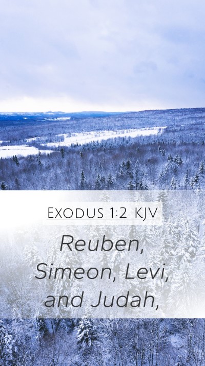 Exodus 1:2 KJV Mobile Phone Wallpaper - Reuben, Simeon, Levi, and - Mobile Bible Verse Wallpaper