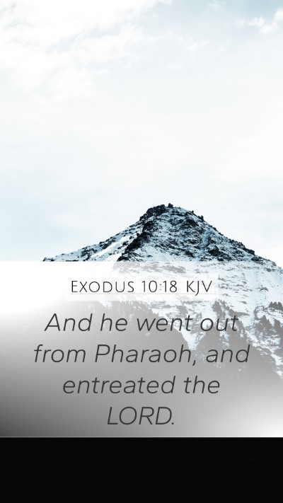 Exodus 10:18 KJV Mobile Phone Wallpaper - And he went out from Pharaoh, and entreated the - Mobile Bible Verse Wallpaper