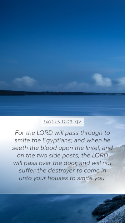 Exodus 12:23 KJV Bible Verse Image