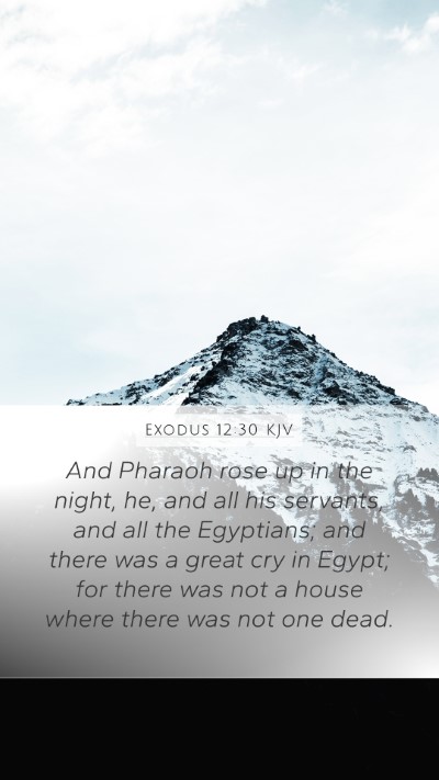 Exodus 12:30 KJV Bible Verse Image