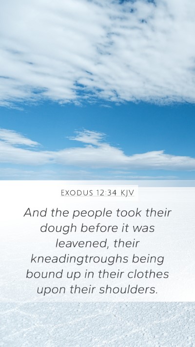 Exodus 12:34 KJV Bible Verse Image