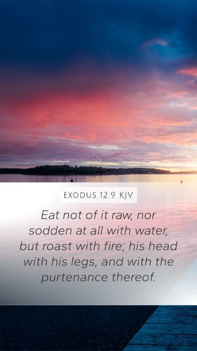 Exodus 12:9 KJV Mobile Phone Wallpaper - Eat not of it raw, nor sodden at all with water, - Mobile Bible Verse Wallpaper
