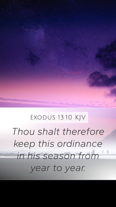 Exodus 13:10 KJV Bible Verse Image