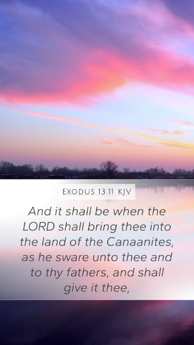 Exodus 13:11 KJV Mobile Phone Wallpaper - And it shall be when the LORD shall bring thee - Mobile Bible Verse Wallpaper