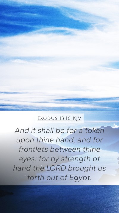 Exodus 13:16 KJV Bible Verse Image