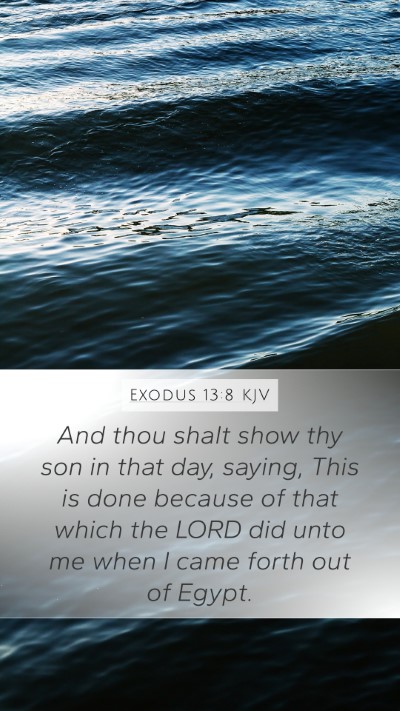 Exodus 13:8 KJV Bible Verse Image