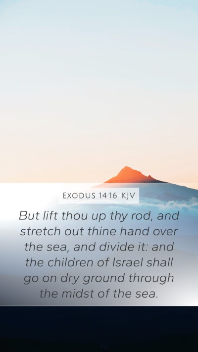 Exodus 14:16 KJV Bible Verse Image