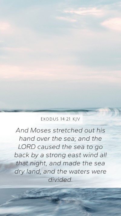 Exodus 14:21 KJV Bible Verse Image
