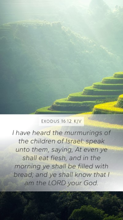 Exodus 16:12 KJV Bible Verse Image