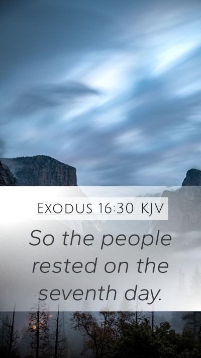 Exodus 16:30 KJV Mobile Phone Wallpaper - So the people rested on the seventh - Mobile Bible Verse Wallpaper
