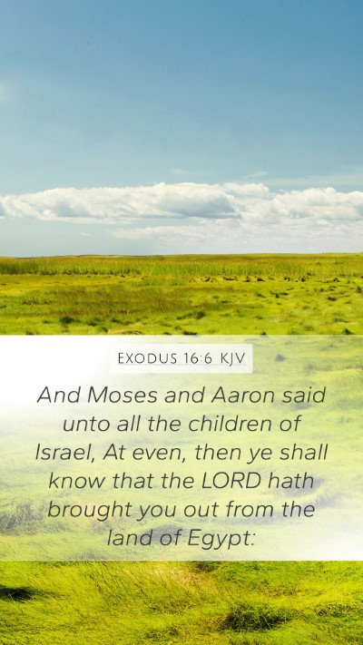 Exodus 16:6 KJV Mobile Phone Wallpaper - And Moses and Aaron said unto all the children of - Mobile Bible Verse Wallpaper