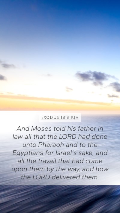 Exodus 18:8 KJV Bible Verse Image